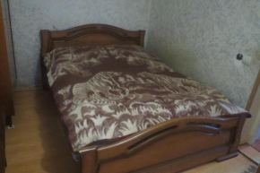 11 Elene Akhvlediani Khevi Flat